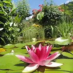 Anemoon In By Interhome Apartamento *