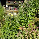 Anemoon In By Interhome Apartamento