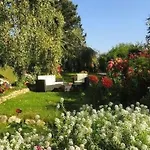 Anemoon In By Interhome