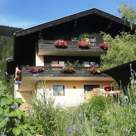 Anemoon In By Interhome * Millstatt