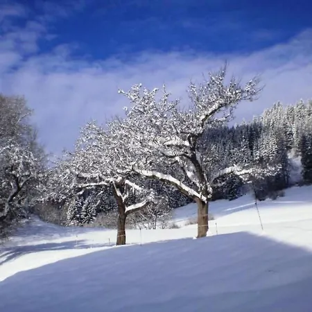 Anemoon In Millstatt By Interhome Lägenhet