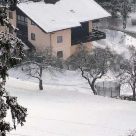 Anemoon In Millstatt By Interhome