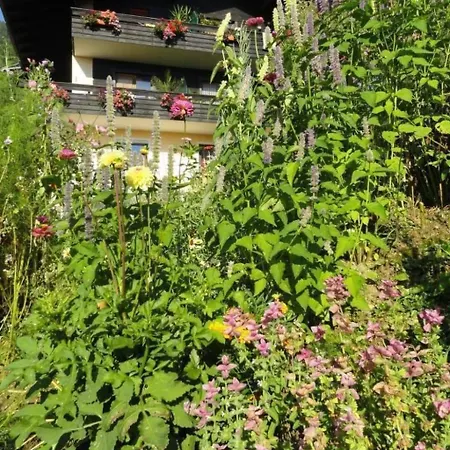 Anemoon In Millstatt By Interhome Lägenhet