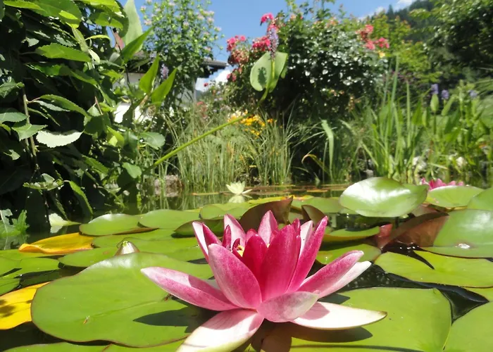 Anemoon In Millstatt By Interhome شقة *