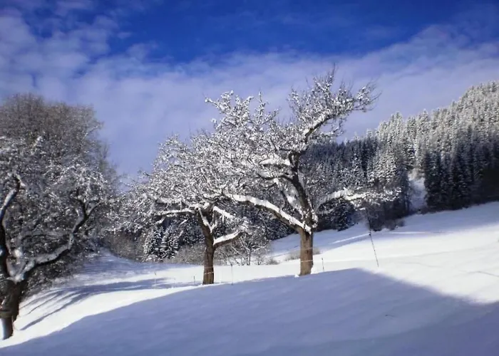 Anemoon In Millstatt By Interhome شقة