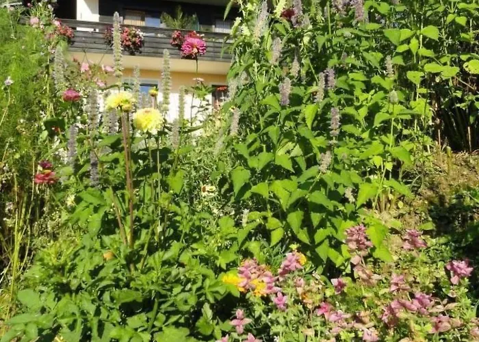 Anemoon In Millstatt By Interhome Lägenhet